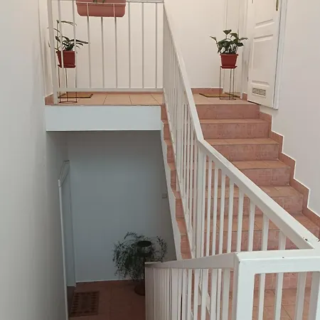 Apartment Dora Palic